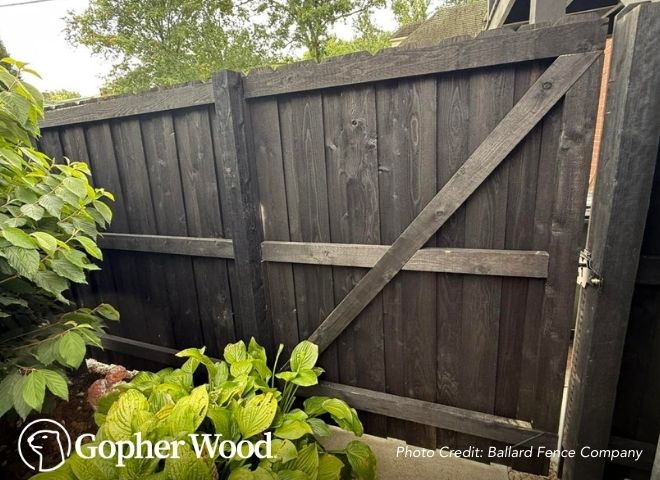 Gopherwood no warping lumber graphic